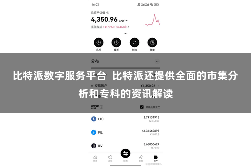 比特派数字服务平台 比特派还提供全面的市集分析和专科的资讯解读