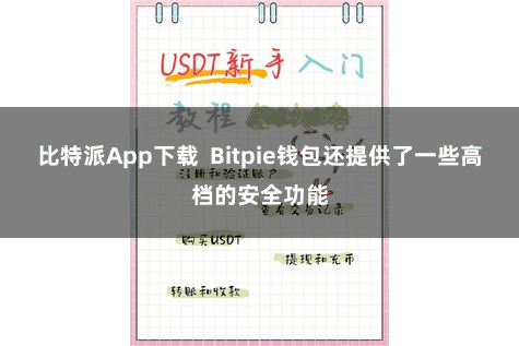 比特派App下载  Bitpie钱包还提供了一些高档的安全功能