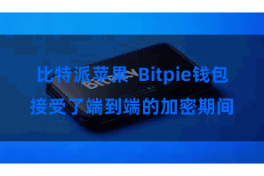 比特派苹果  Bitpie钱包接受了端到端的加密期间
