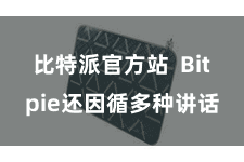比特派官方站  Bitpie还因循多种讲话