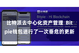 比特派去中心化资产管理  Bitpie钱包进行了一次垂危的更新