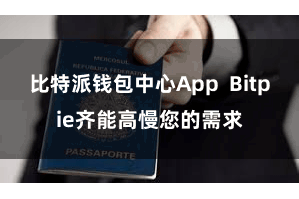 比特派钱包中心App  Bitpie齐能高慢您的需求