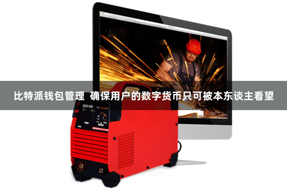 比特派钱包管理  确保用户的数字货币只可被本东谈主看望