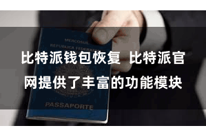比特派钱包恢复  比特派官网提供了丰富的功能模块