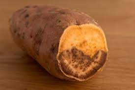 holes in sweet potatoes