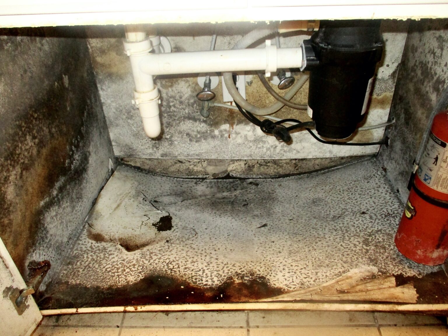 Cleaning Black Mold Under Sink